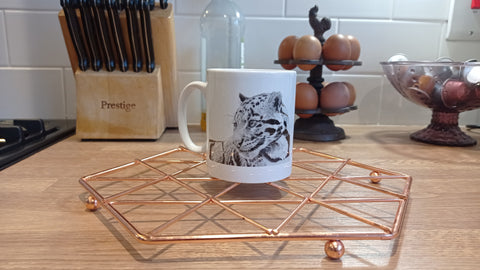 Brandon Andrews Leopard Mug