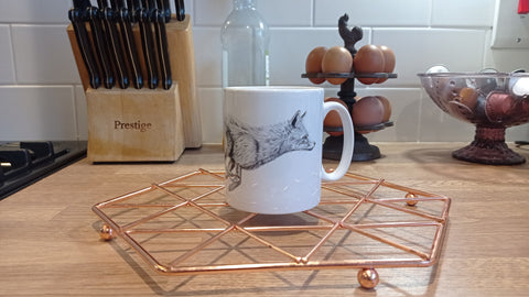 Brandon Andrews Fox Mug