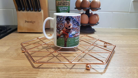 Marco Van Basten Goal Mug